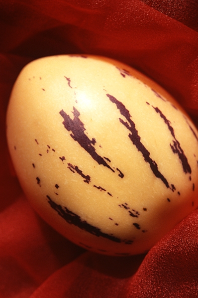 Pepino, Solanum muricatum