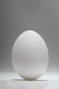 ägg, hönsägg