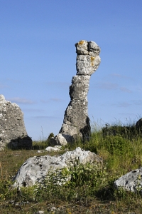 Klinteklinten, rauk, raukar, Gotland