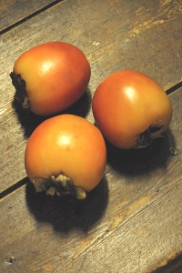 Persimon, Diospyros virginiana, kaki, amerikansk persimon, Diospyrosfrukt