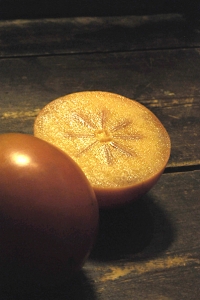 Persimon, Diospyros virginiana, kaki, amerikansk persimon, Diospyrosfrukt