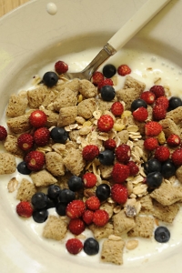 Smultron och blåbär